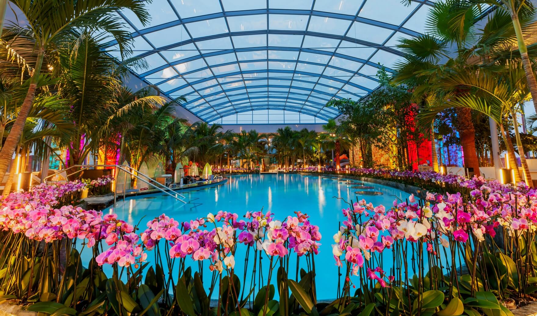 Piscina Galaxy Relax | Therme București